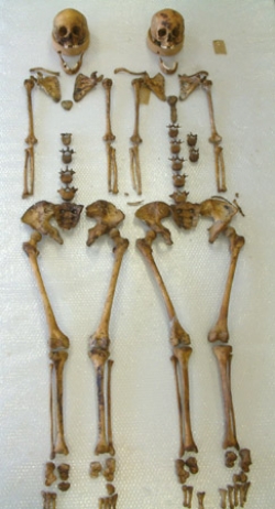 Post-medieval twins